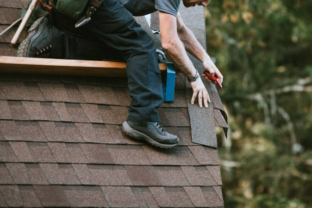 Best Gutter Installation and Roofing  in Townsend, DE